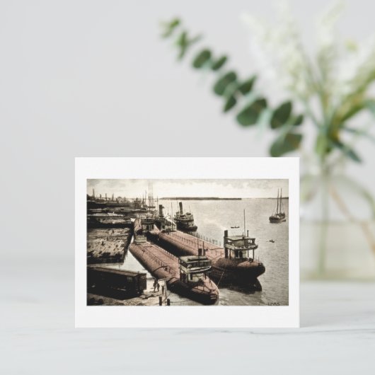 ミシガン州ベルアイルのホールバックス ポストカード (スタンド正面)