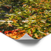 ミシガン州ボヘミア山の秋の展望 ポスター (角)