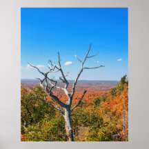 ミシガン州ボヘミア山の秋の展望