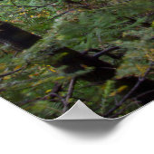 ミシガン州マイナー滝 ポスター (角)