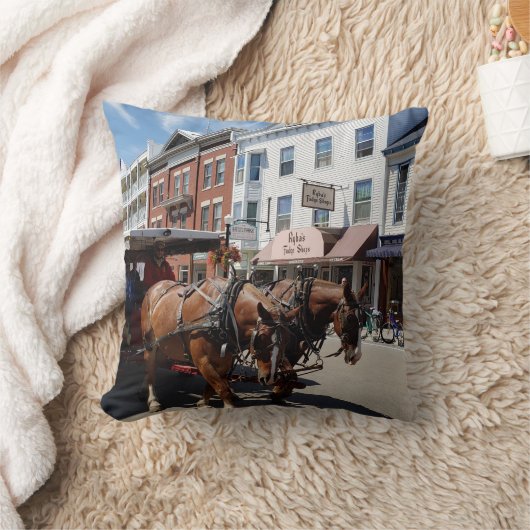 ミシガン州マッキナック島の馬車 クッション (ブランケット)