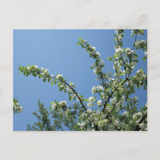 ミシガン州マッキナック島グランドホテル。 ポストカード