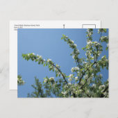 ミシガン州マッキナック島グランドホテル。 ポストカード (正面/裏面)