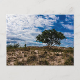 ミシガン州ルディントン州パーク ポストカード