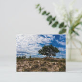 ミシガン州ルディントン州パーク ポストカード (スタンド正面)