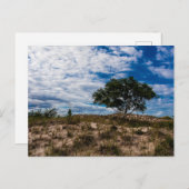 ミシガン州ルディントン州パーク ポストカード (正面/裏面)