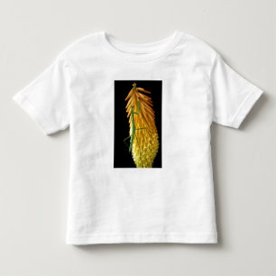 ミシガン州ロチェスターハイルズ。赤い背景のカマキリ トドラーTシャツ
