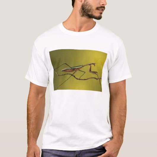 ミシガン州ロチェスターヒルズ。カマキリ Tシャツ (正面)