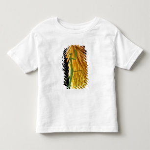 ミシガン州ロチェスターヒルズ。赤い背景のカマキリ トドラーTシャツ