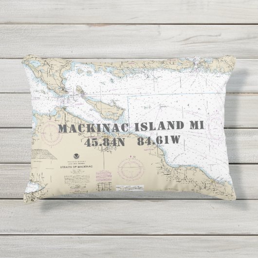 ミシガン州上部⚓本格チャ航海のート アウトドアクッション (正面)