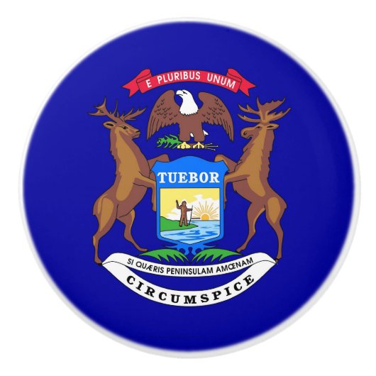 ミシガン州旗とセラミックノブの引っ張り セラミックノブ (正面)
