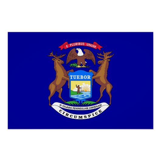 ミシガン州旗の愛国的な壁のポスター ポスター (正面)