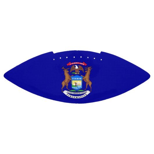 ミシガン州旗を持つ愛国的なアメリカンフットボール アメリカンフットボール (パネル)