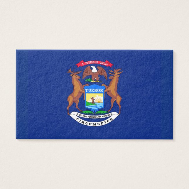 ミシガン州旗デザイン (正面)