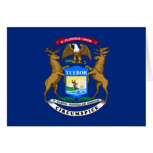 ミシガン州旗 (正面横)