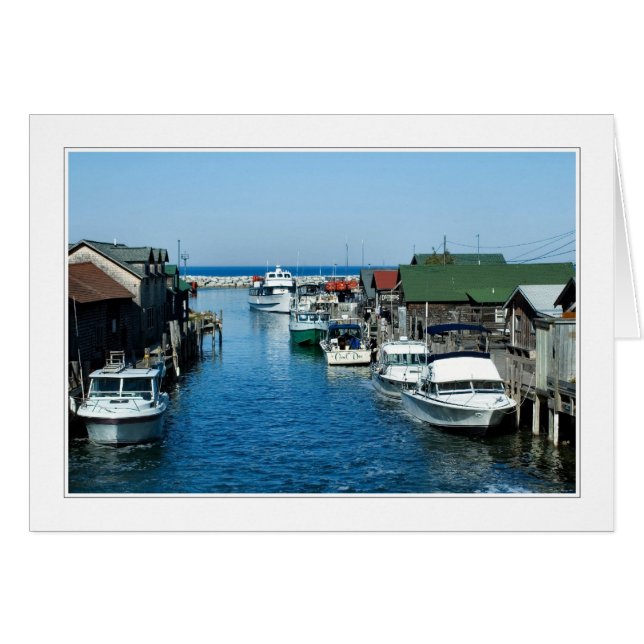 ミシガン州04のカードの4季節 (正面横)