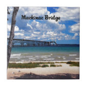 ミシガン州 タイル (正面)