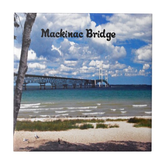 ミシガン州 タイル (正面)