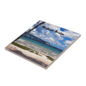 ミシガン州 タイル (側面)