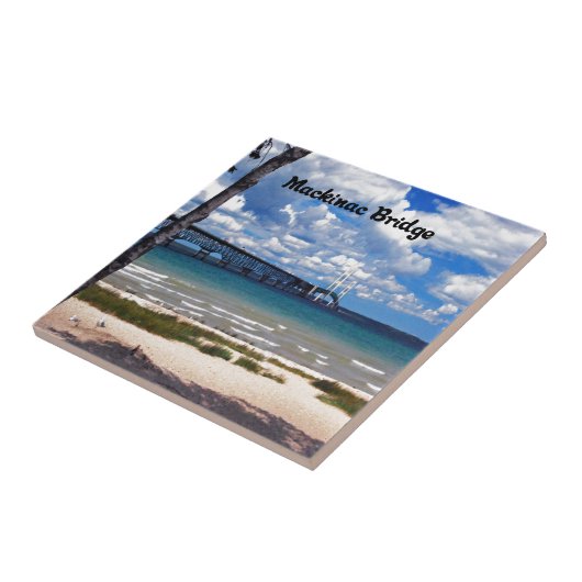 ミシガン州 タイル (側面)