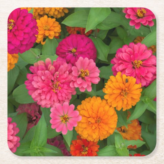 ミシガン州、デアルボーン州、グリーンフィールド・ビレッジ。クローズアップ スクエアペーパーコースター (正面)