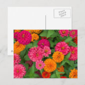 ミシガン州、デアルボーン州、グリーンフィールド・ビレッジ。クローズアップ ポストカード (正面/裏面)