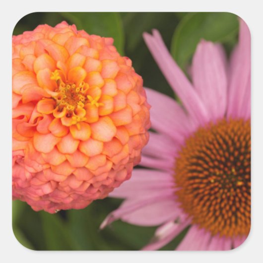 ミシガン州、デアルボーン州、グリーンフィールド・ビレッジ。ピーチ スクエアシール (正面)