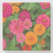 ミシガン州、ディアボーンの未開発地域の村。 終わり ストーンコースター (正面)