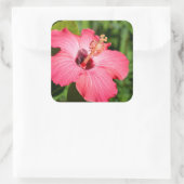 ミシガン州、ディアボーン。ピンクハイビスカス詳細 スクエアシール (バッグ)