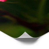 ミシガン州、ディアボーン。ピンクハイビスカス詳細 ポスター (角)