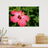 ミシガン州、ディアボーン。ピンクハイビスカス詳細 ポスター (キッチン)