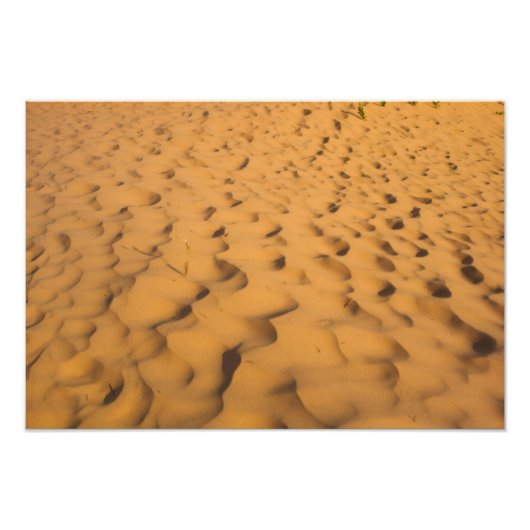 ミシガン州Pictured Rocks NLのSand Dunes フォトプリント (正面)