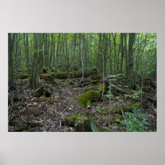 ミシガン森林プリント ポスター
