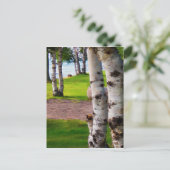 ミシガン樺の木ツリーズバイレイク ポストカード (スタンド正面)