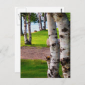 ミシガン樺の木ツリーズバイレイク ポストカード (正面/裏面)