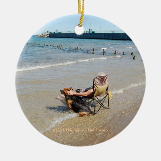 ミシガン湖のオーナメントを楽しむこと セラミックオーナメント (正面)