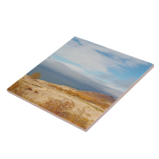 ミシガン湖の寝台砂丘 タイル (側面)