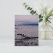 ミシガン湖の流木 ポストカード (スタンド正面)