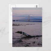 ミシガン湖の流木 ポストカード (正面/裏面)