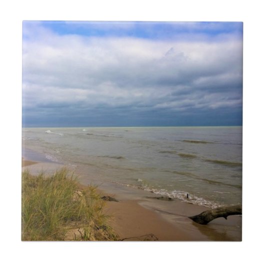 ミシガン湖の海岸、シーボイガン、WI タイル (正面)