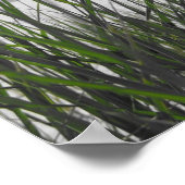 ミシガン湖の草陰 ポスター (角)