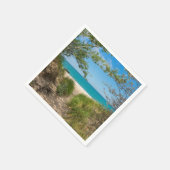 ミシガン湖の静けさ スタンダードカクテルナプキン (角)