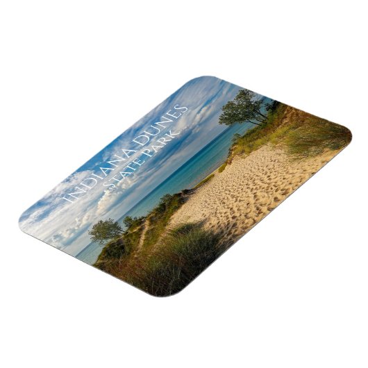 ミシガン湖へのサンディパスビーチ,インディアナ・デュネス マグネット (左側)