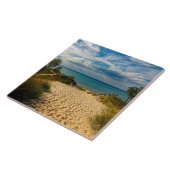 ミシガン湖インディアナ・デュネス タイル (側面)