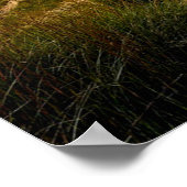 ミシガン湖インディアナ・デュネス ポスター (角)