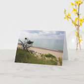 ミシガン湖 カード (黄色い花)