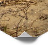 ミシガン湖 ポスター (角)