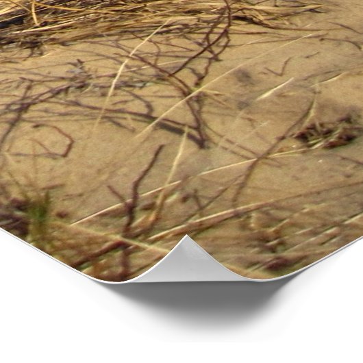 ミシガン湖 ポスター (角)