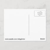 ミシガン滝 ポストカード (裏面)