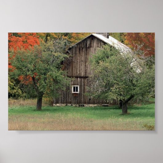 ミシガン素朴州の納屋 ポスター (正面)